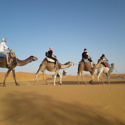 Desert Trip  From Ouarzazate