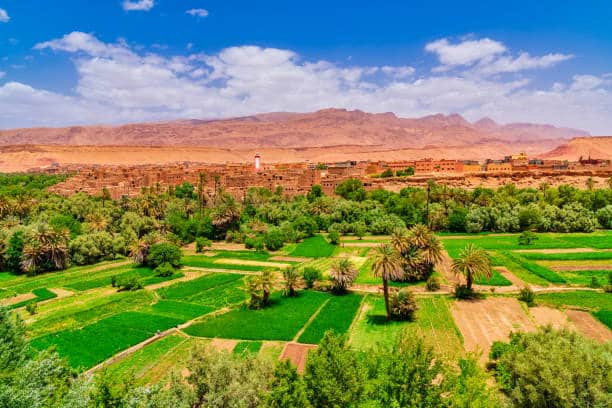 Agricultural tours in Morocco